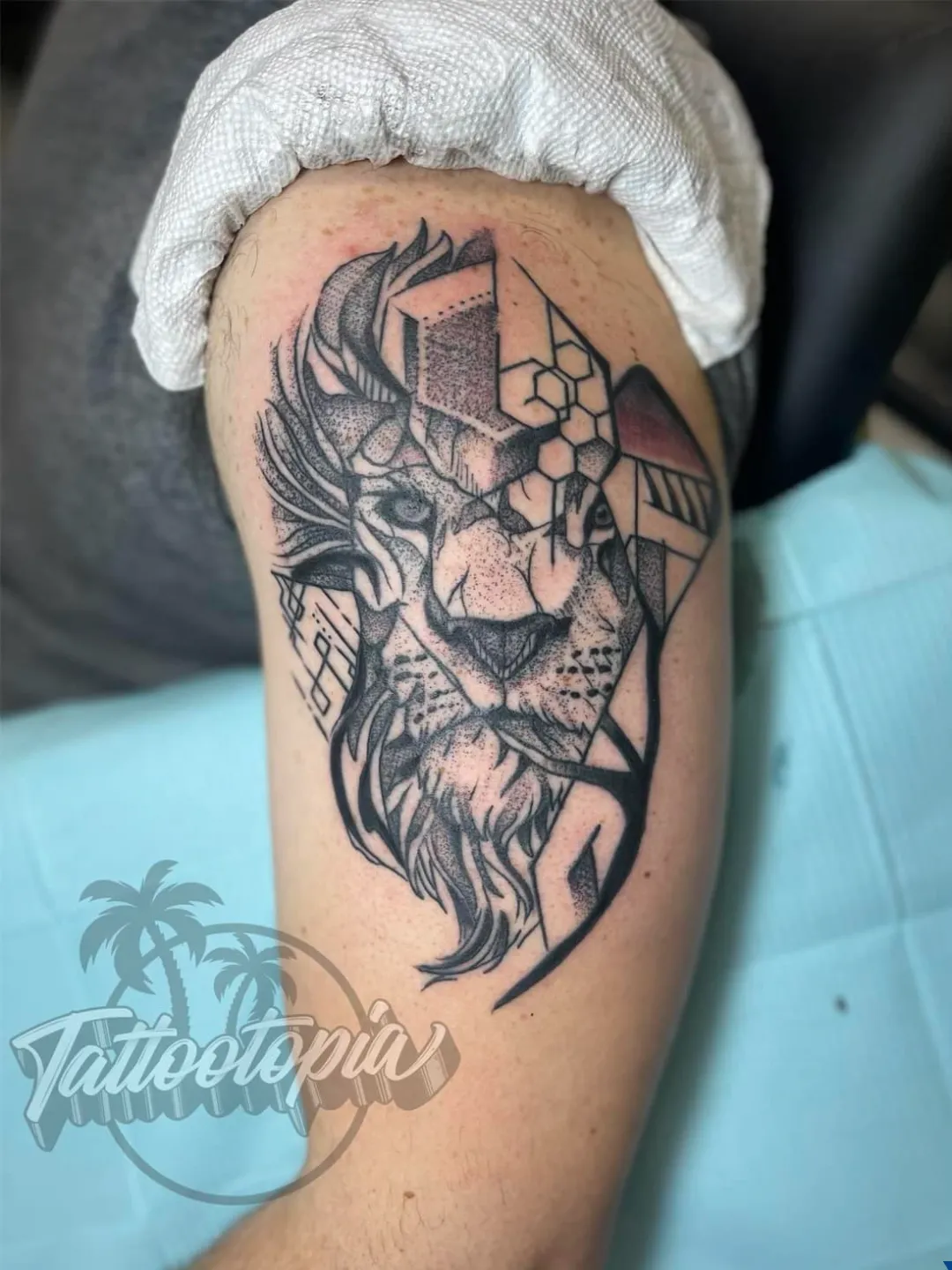 black and gray skull and snake forearm tattoo cory veron tattootopia