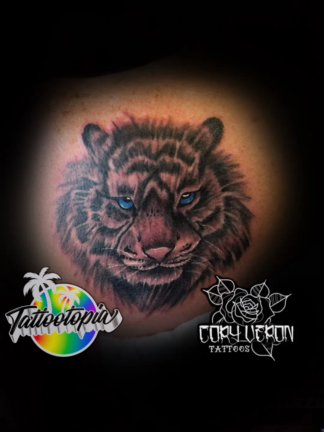 realistic blue eyed tiger shoulder tattoo cory veron tattootopia