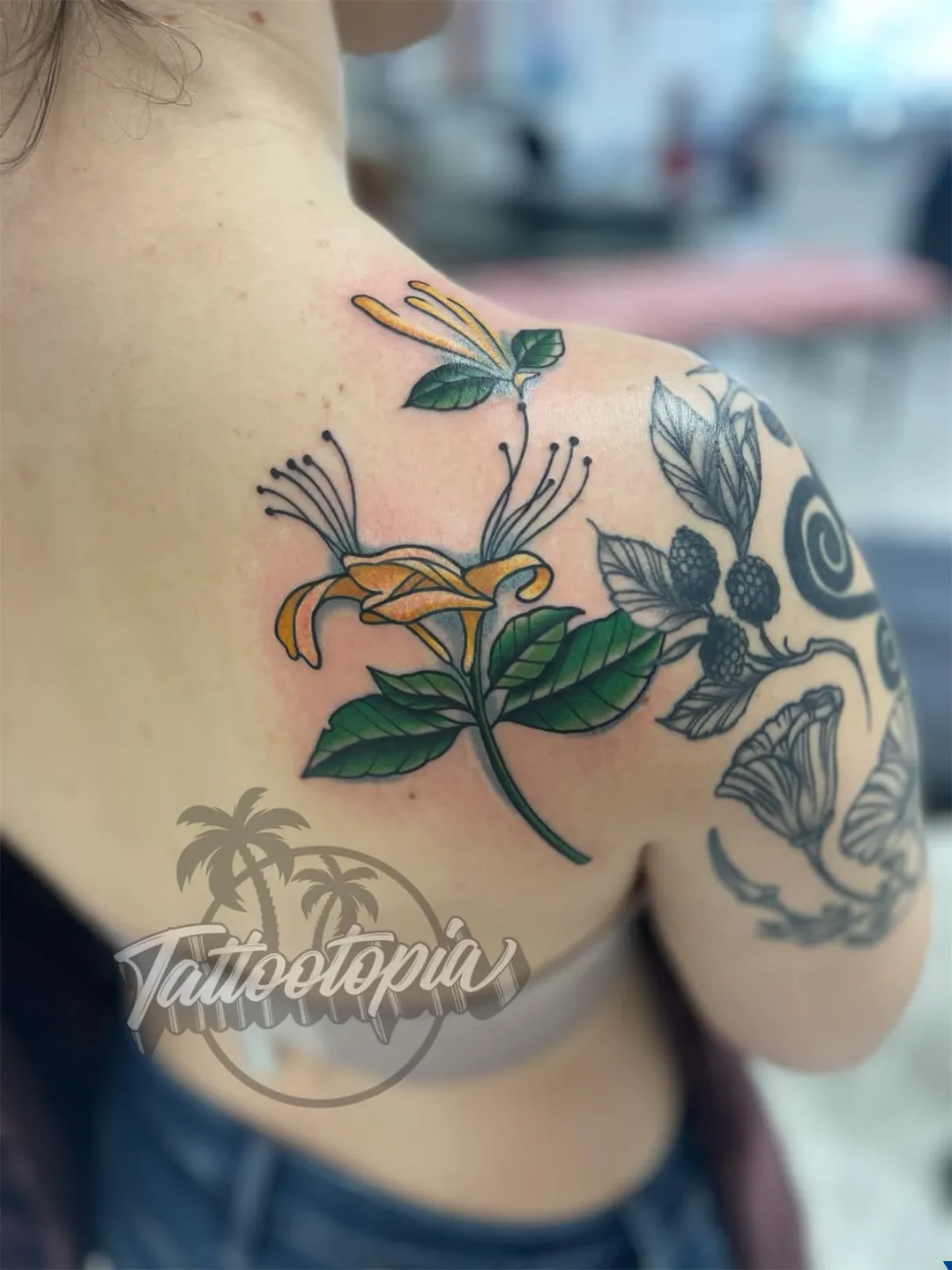 traditional color panther head rose arm tattoo cory veron tattootopia