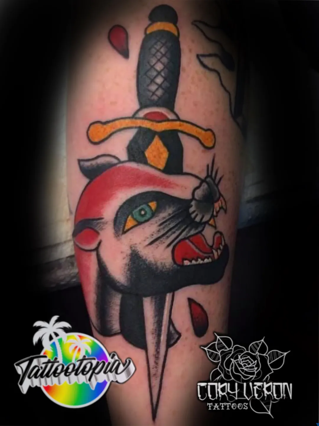 traditional dagger through cat head tattoo cory veron tattootopia