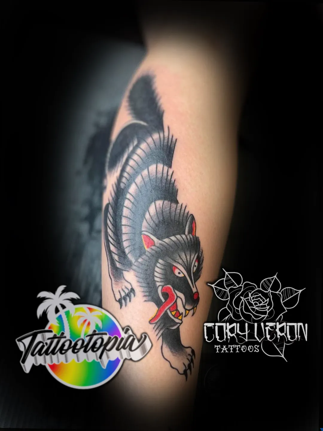 traditional wolf calf tattoo cory veron tattootopia