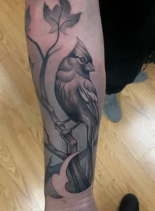 black and gray cardinal on branch leg tattoo halo minier tattootopia