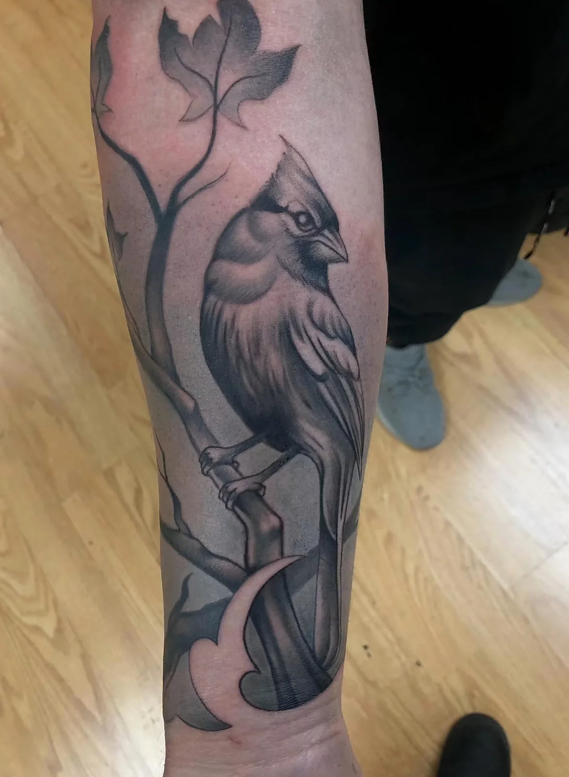 black and gray cardinal on branch leg tattoo halo minier tattootopia