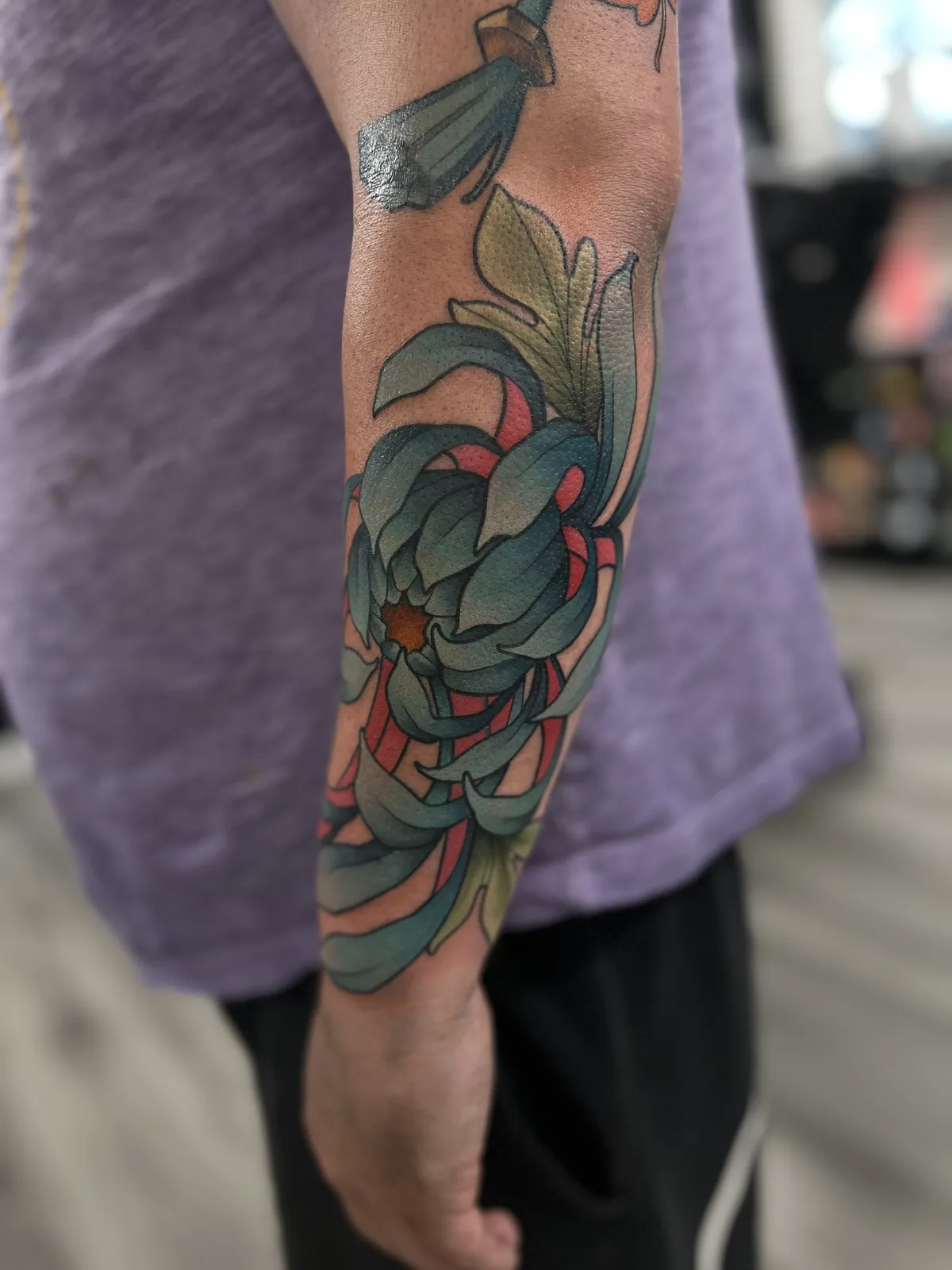 color succulent plants arm tattoo jeff thibodaux tattootopia